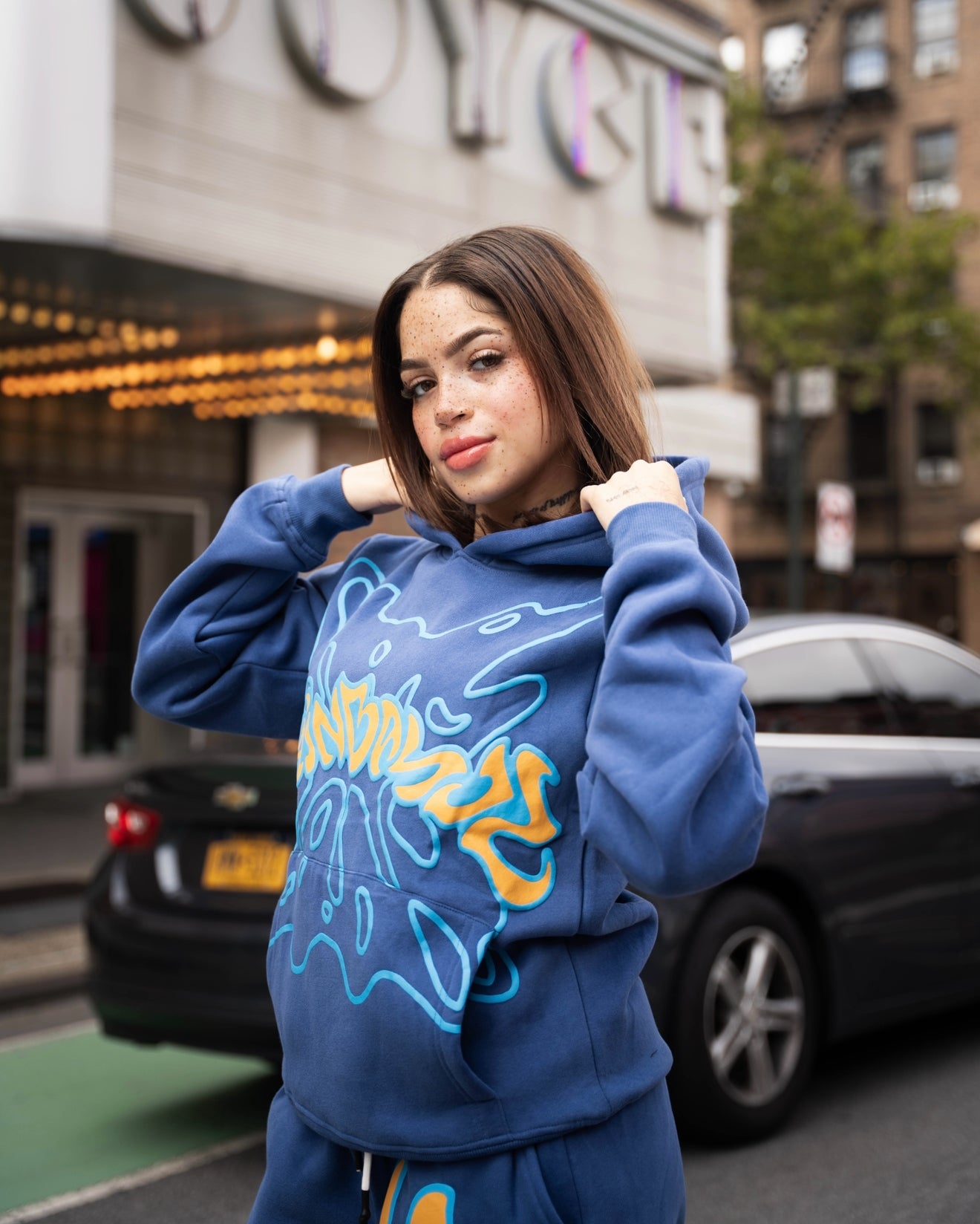 SB V2 HOODIE