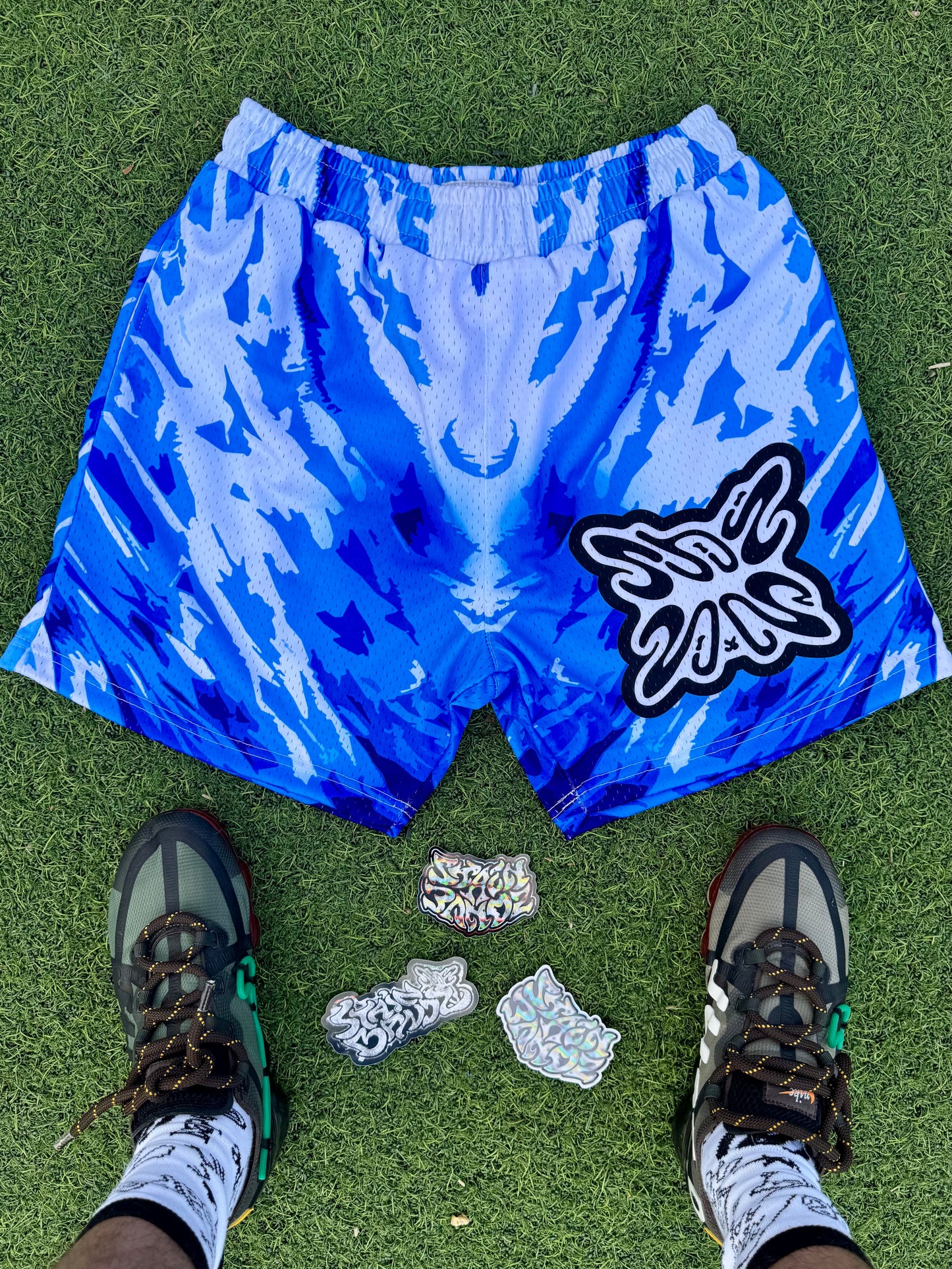 SB ELEMENT SHORTS V4