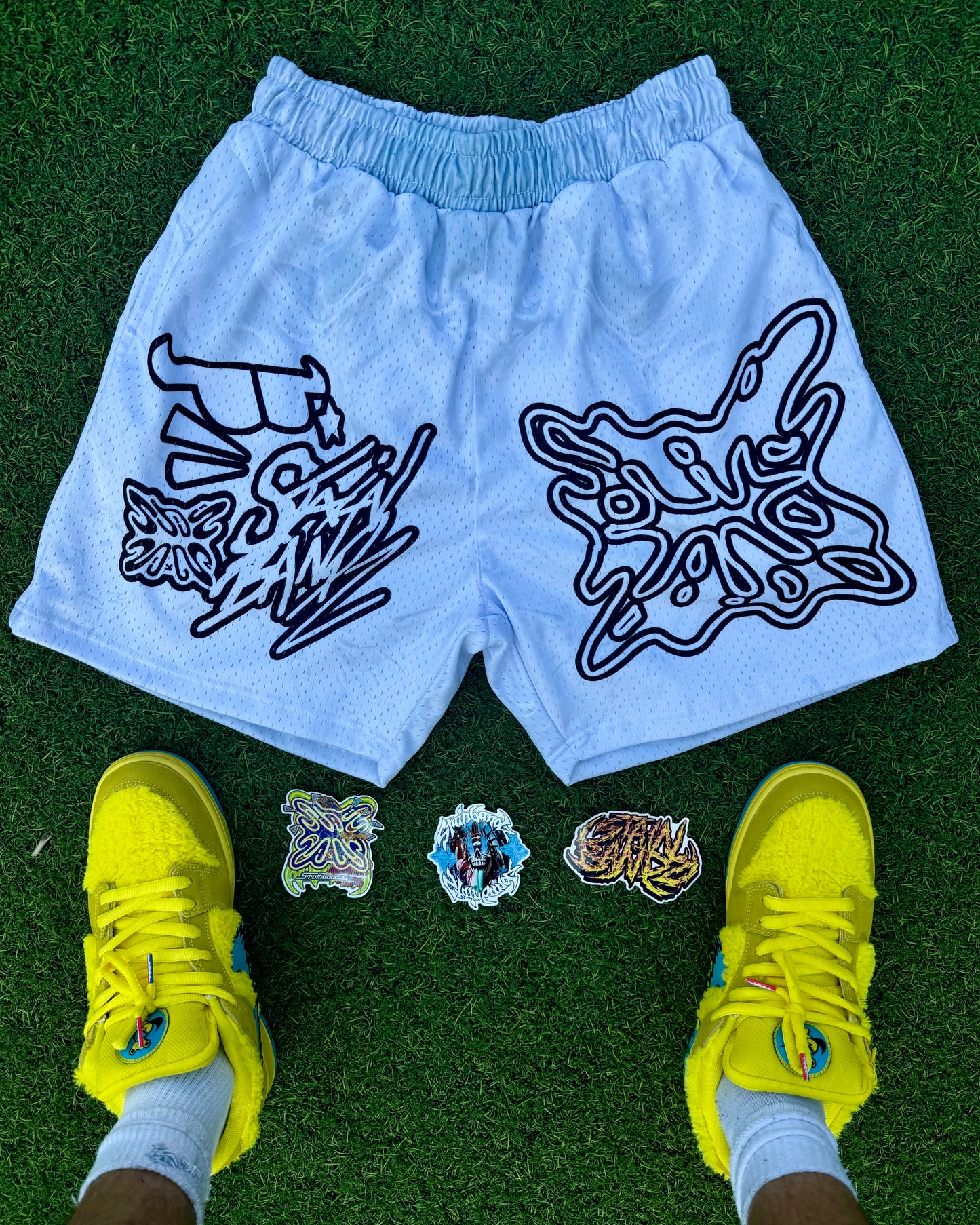 SB GRAFITTI SHORTS
