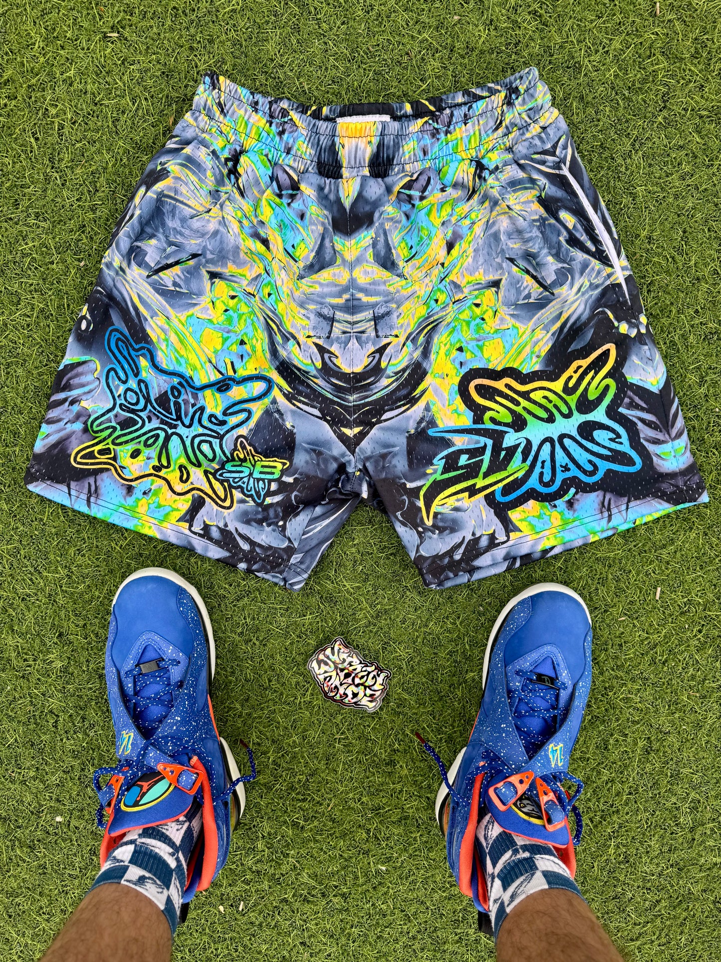 SB COLOR RUSH SHORTS MULTICOLOR