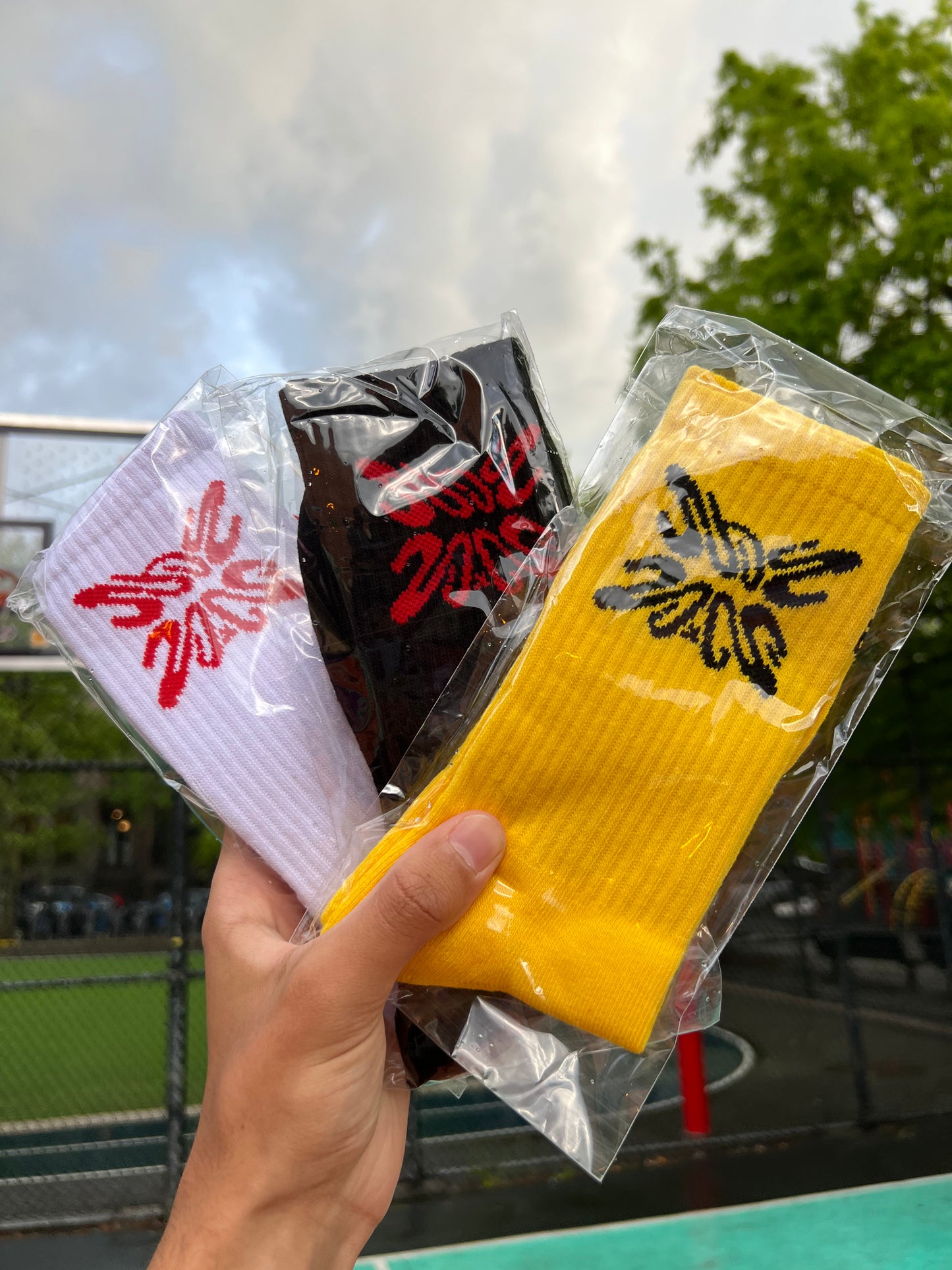 SB CREW SOCKS (3 PACK)