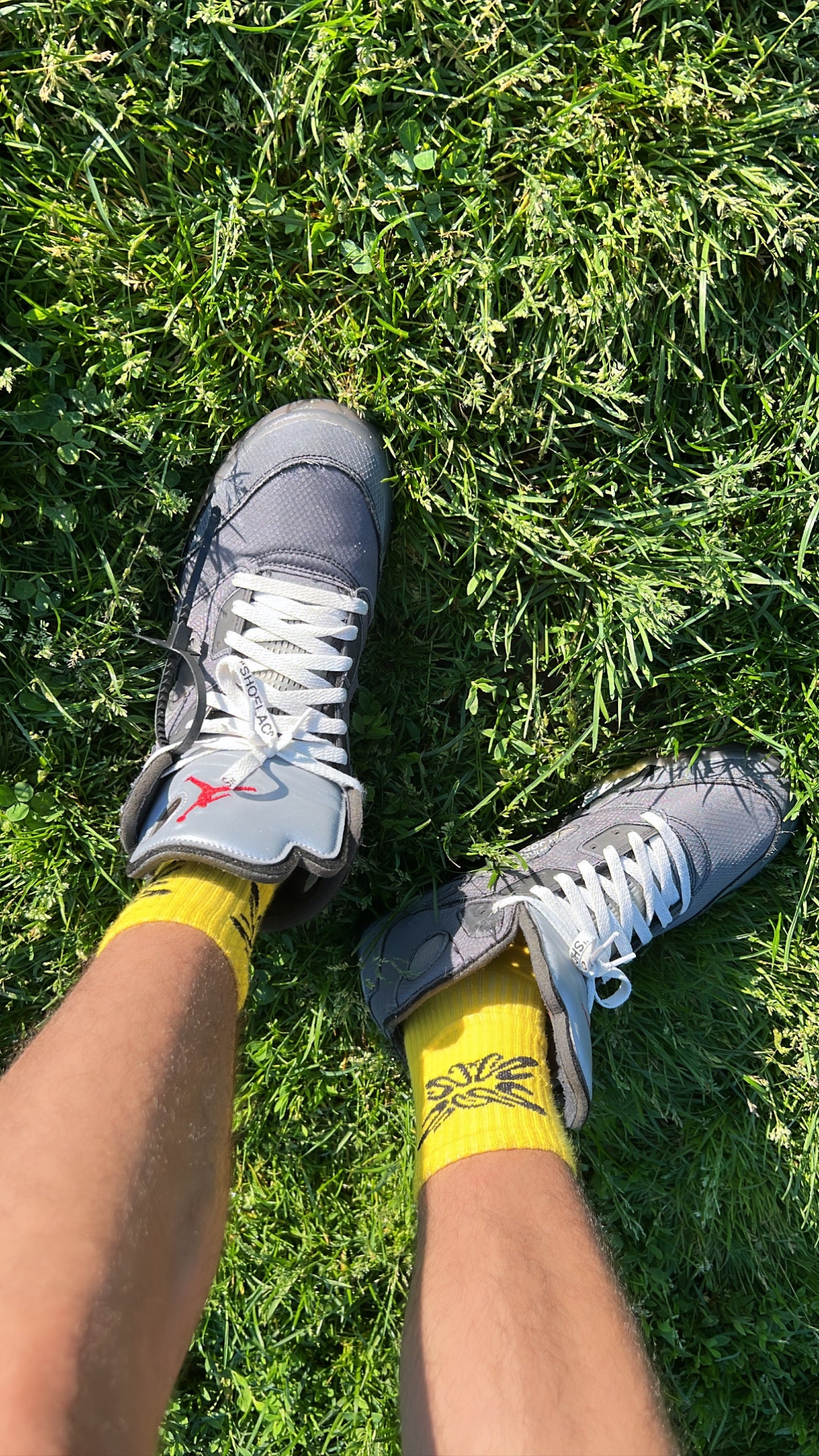 SB CREW SOCKS (3 PACK)