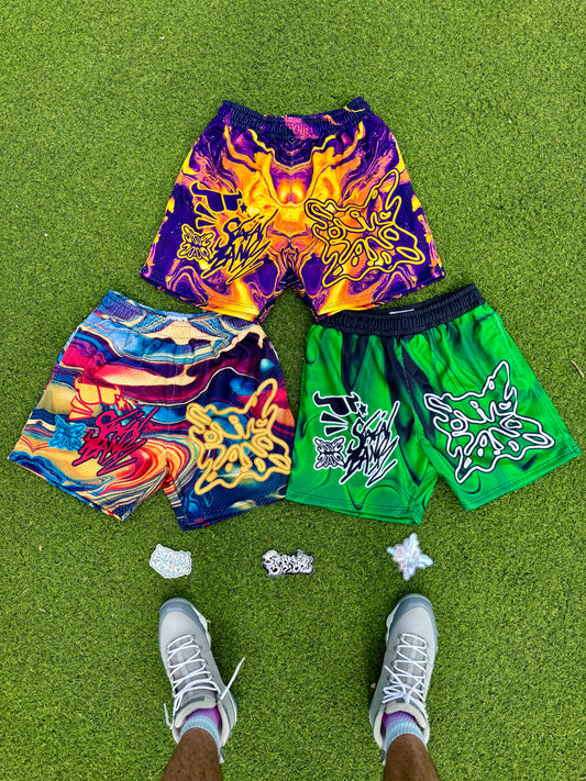 SB GRAFITTI SHORTS V2