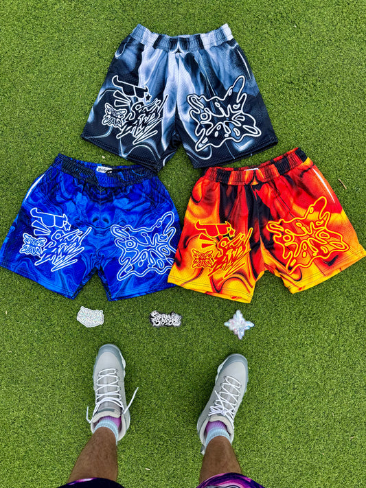 SB GRAFITTI SHORTS V2