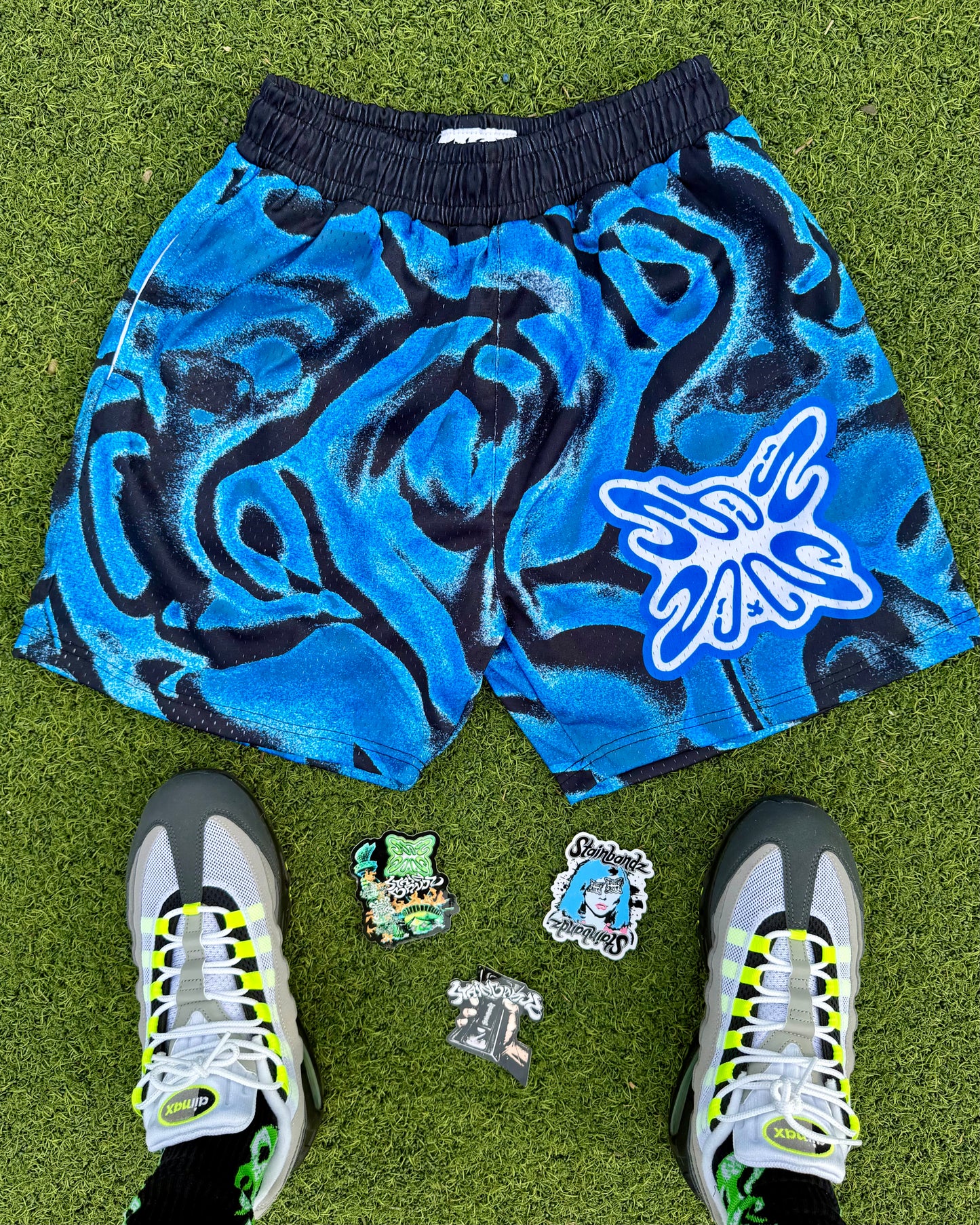 SB ELEMENT SHORTS V5