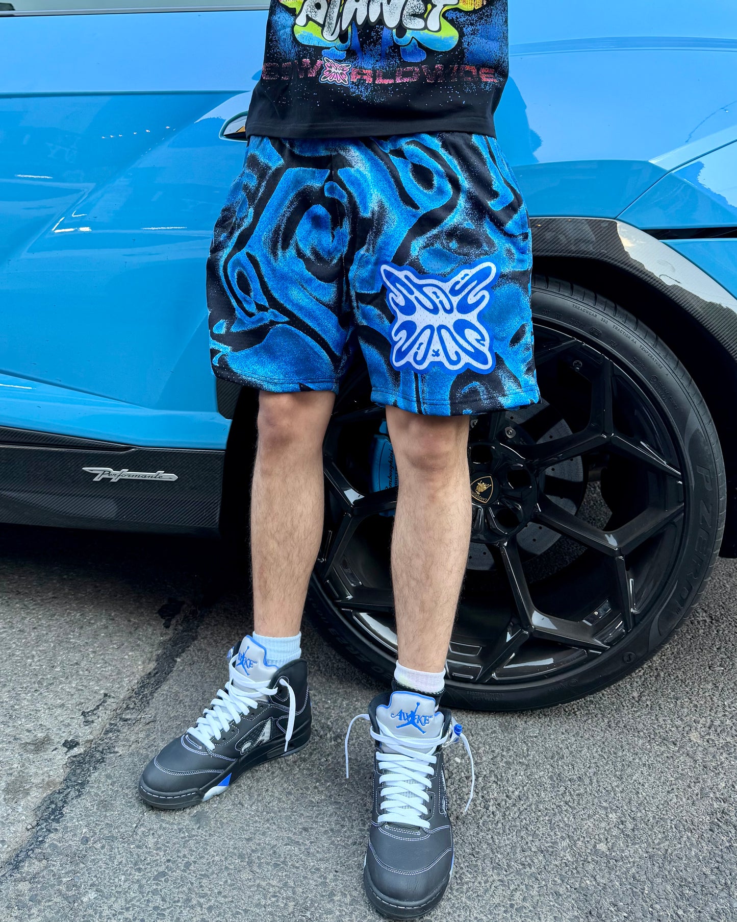 SB ELEMENT SHORTS V5