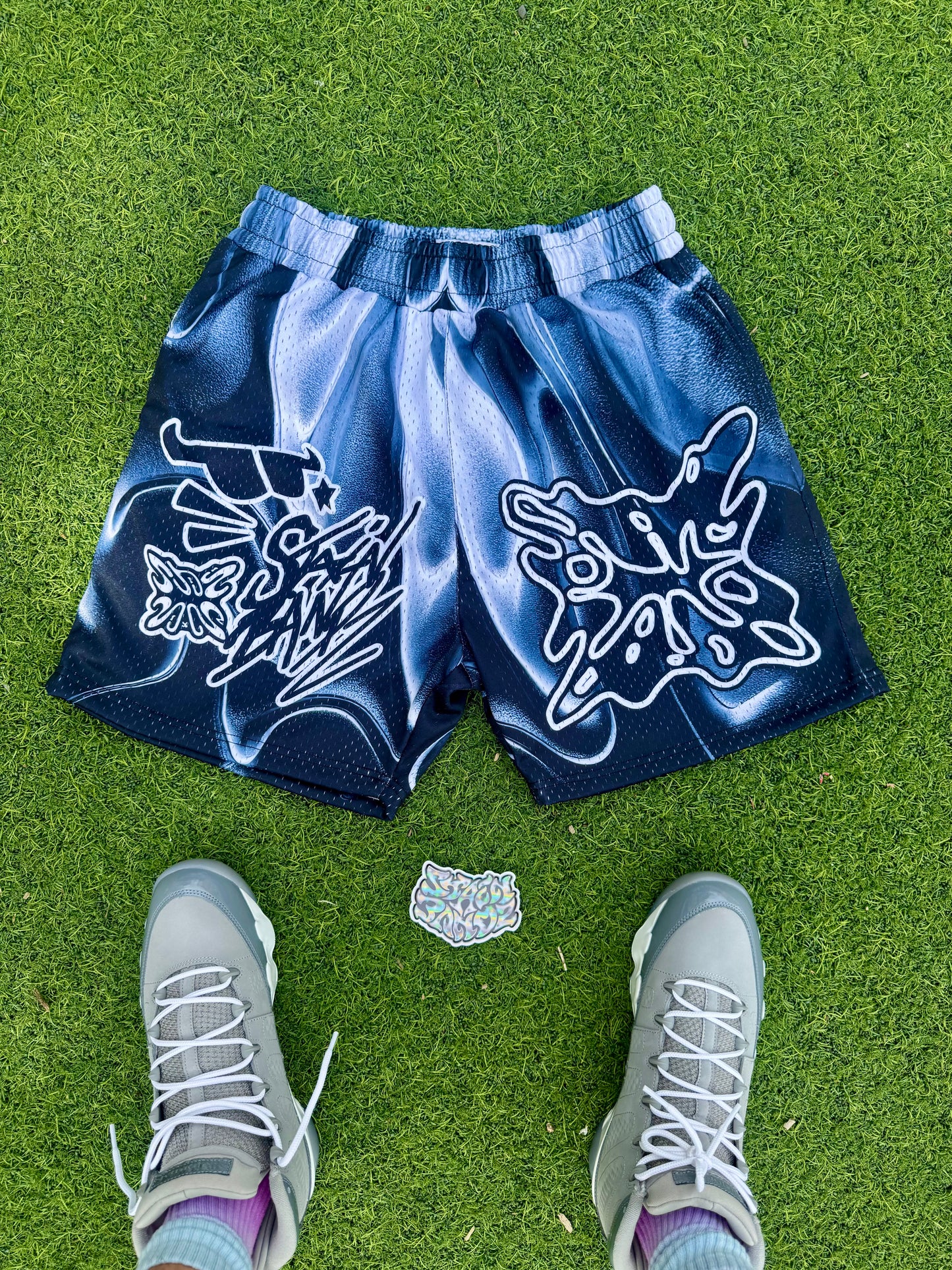 SB GRAFITTI SHORTS V2